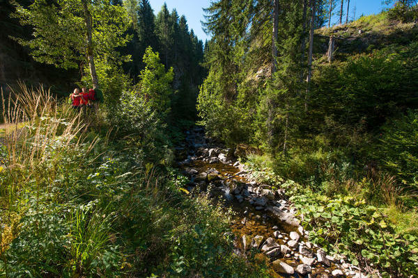 Albsteig Schwarzwald � Klaus-Peter Kappest | www.albsteig.de