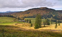 ber dem Krunkelbachtal erhebt sich die kahle Kuppe des Herzogenhorns. Foto Michael Arndt