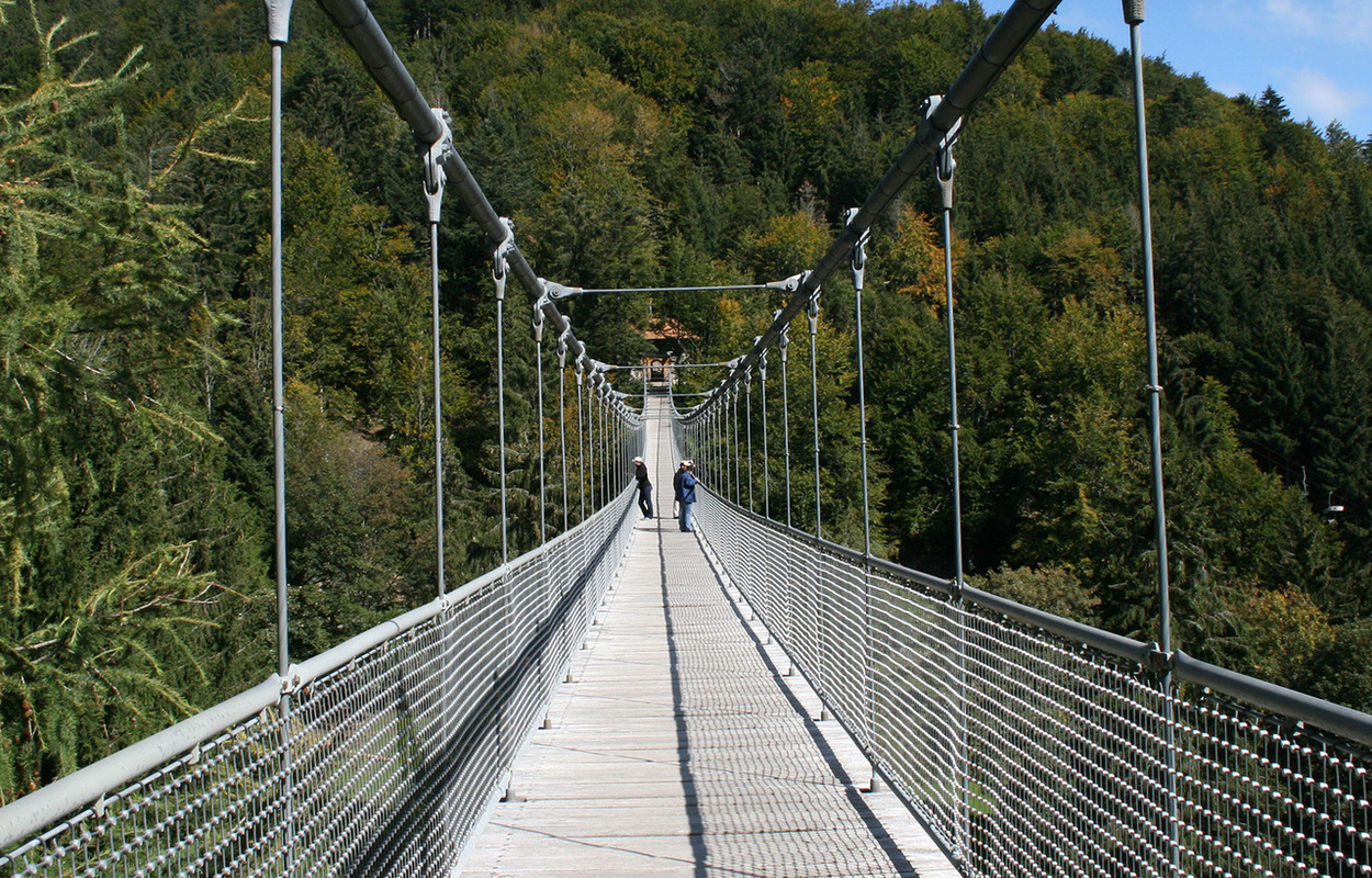 Die Hngebrcke im Steinwasenpark bei Oberried. Foto: Steinwasenpark