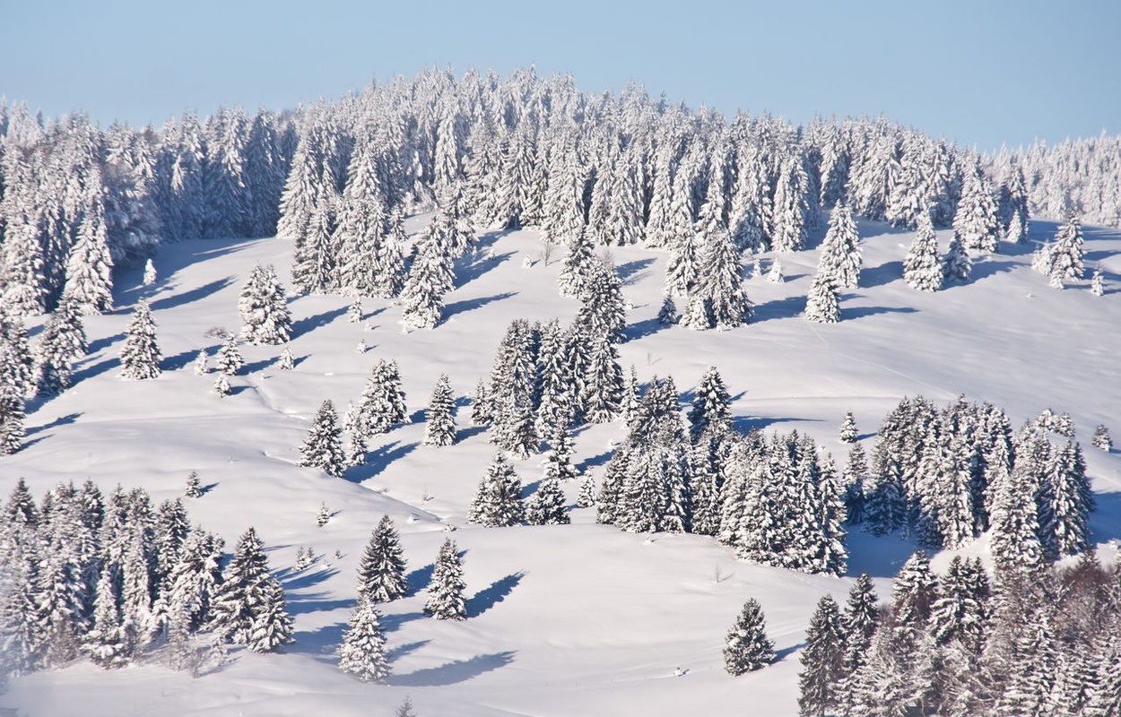 Tief verschneites Bernauer Hochtal im sdlichen Schwarzwald. Foto: Ute Meier