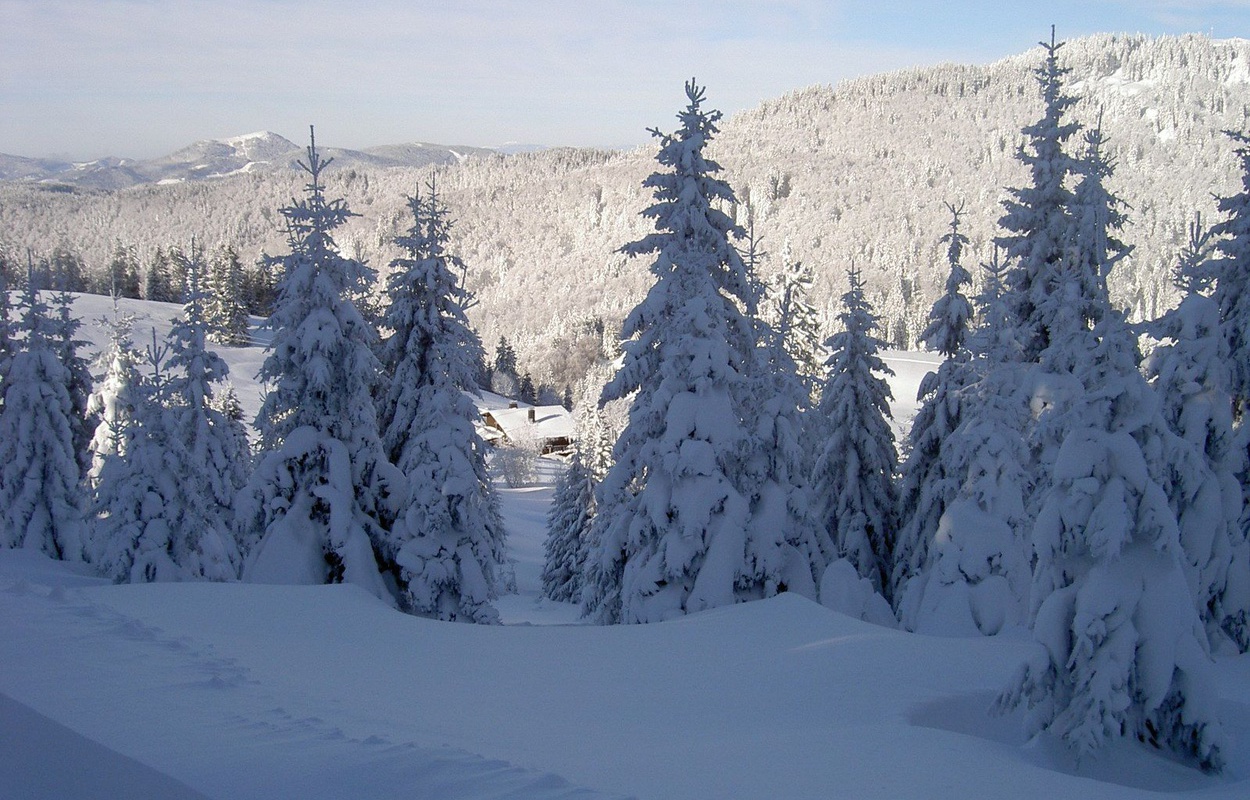 Winter im Bernauer Hochtal