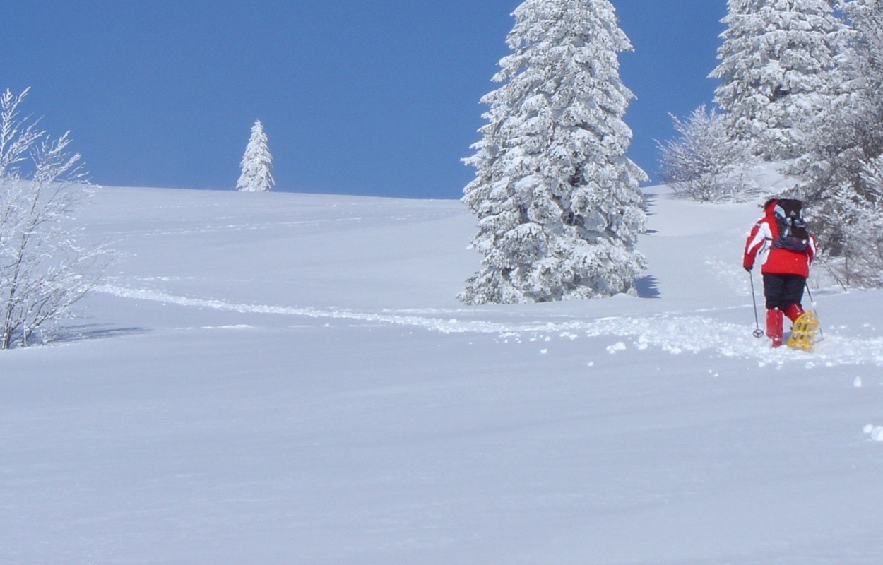 Auf Schneeschuhen im Bernauer Hochtal unterwegs.