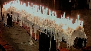 Kerzenbaum (C) M. Köpfer Kerzenbaum (C) M. Köpfer