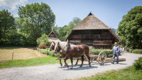 Schwarzw�lder Freilichtmuseum Vogtsbauernhof