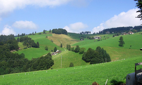 Harzlochhof M�nstertal (M�nstertal)