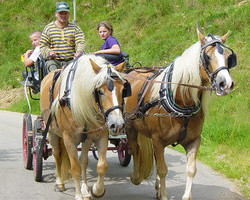 Breitnauhof Schneider (M�nstertal)