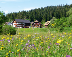 Landhaus Anja (Freudenstadt) Landhaus Anja (Freudenstadt)