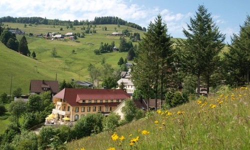 Naturparkhotel Gr�ner Baum (Todtnau)