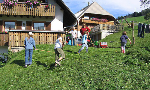 Harzlochhof M�nstertal (M�nstertal)
