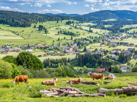 Bernau im Schwarzwald (Bildnachweis: Mit freundlicher Genehmigung Tourist Information Bernau) Bernau im Schwarzwald (Bildnachweis: Mit freundlicher Genehmigung Tourist Information Bernau)