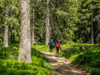 (Bildnachweis: Mit freundlicher Genehmigung Tourist Information Bernau) (Bildnachweis: Mit freundlicher Genehmigung Tourist Information Bernau)
