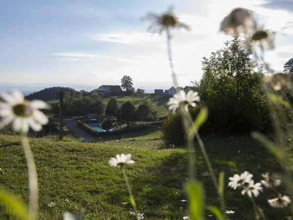 Bildnachweis: Mit freundlicher Genehmigung der Gemeinde Schopfheim (Ulrike Klumpp) Bildnachweis: Mit freundlicher Genehmigung der Gemeinde Schopfheim (Ulrike Klumpp)