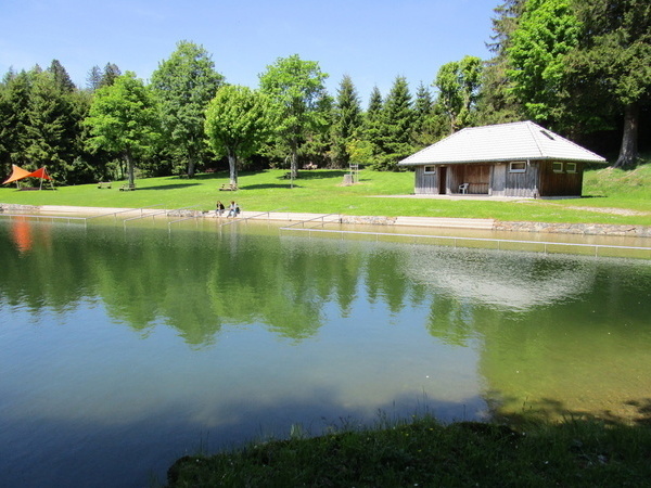 Naturfreibad St. Märgen Bildnachweis: Mit freundlicher Genehmigung der Gemeinde St. Märgen Naturfreibad St. Märgen Bildnachweis: Mit freundlicher Genehmigung der Gemeinde St. Märgen