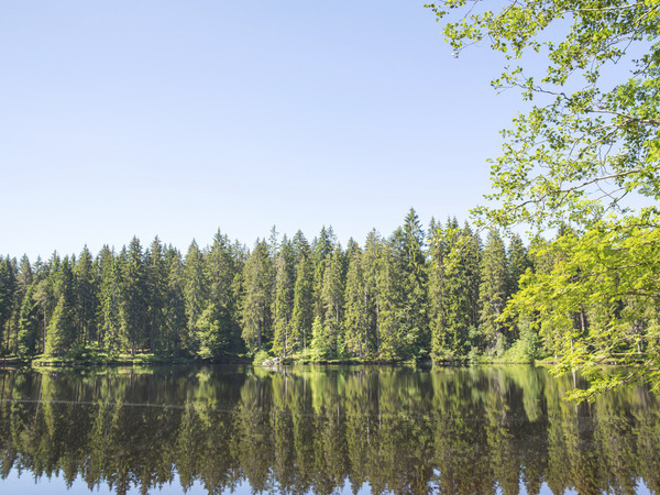 Blick auf Mathisleweiher Bildnachweis: Hochschwarzwald Tourismus GmbH Blick auf Mathisleweiher Bildnachweis: Hochschwarzwald Tourismus GmbH