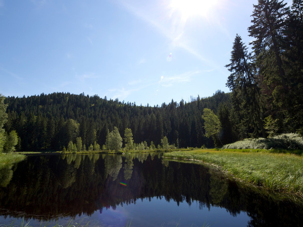 Buhlbachsee Bildnachweis: Ulrike Klumpp Buhlbachsee Bildnachweis: Ulrike Klumpp
