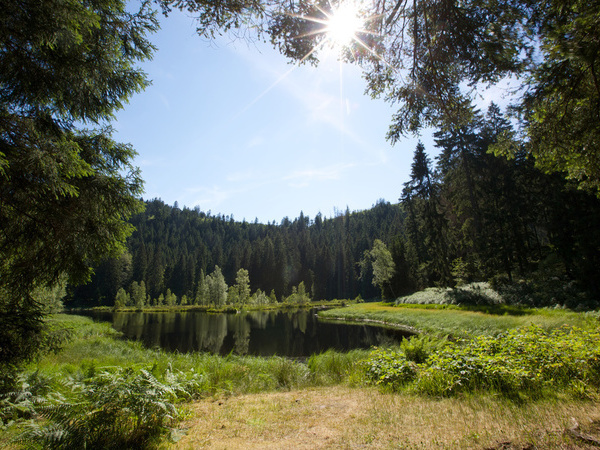Buhlbachsee Bildnachweis: Ulrike Klumpp Buhlbachsee Bildnachweis: Ulrike Klumpp