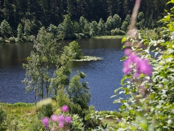 Sankenbachsee Bildnachweis: Ulrike Klumpp/Baiersbronn Touristik Sankenbachsee Bildnachweis: Ulrike Klumpp/Baiersbronn Touristik