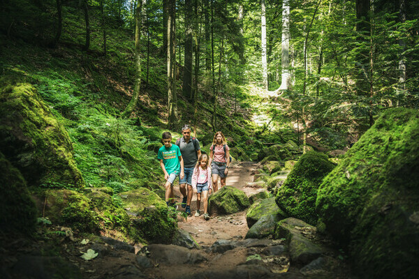 Familie im Monbachtal Bildnachweis: �Locher Fotodesign & Manufaktur