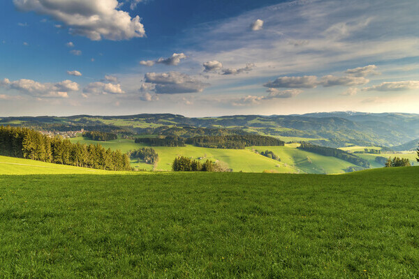 Landschaft bei St. Peter Bildnachweis: ©Hochschwarzwald Tourismus Gmbh Landschaft bei St. Peter Bildnachweis: ©Hochschwarzwald Tourismus Gmbh