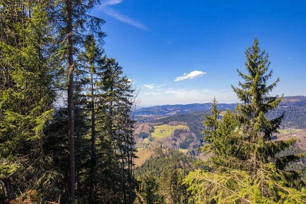 Teufelskanzelsteig Bildnachweis: © Bad Peterstal-Griesbach Teufelskanzelsteig Bildnachweis: © Bad Peterstal-Griesbach