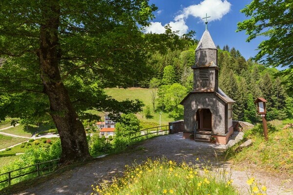 Premiumspazierwanderweg Panoramawegle Bildnachweis: Bad Peterstal-Griesbach Premiumspazierwanderweg Panoramawegle Bildnachweis: Bad Peterstal-Griesbach