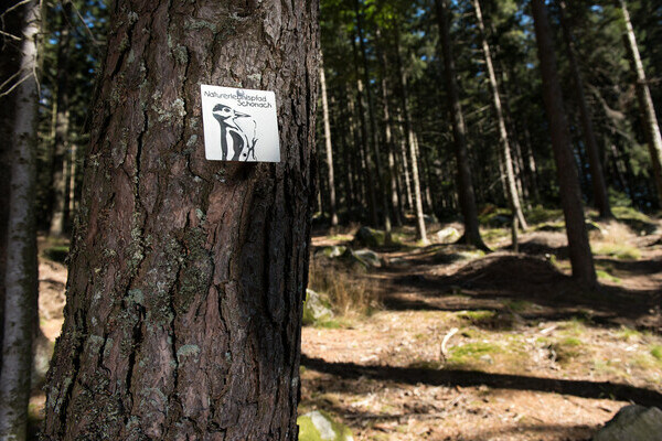 Bildnachweis: Mit freundlicher Genehmigung der Hochschwarzwald Tourismus GmbH Bildnachweis: Mit freundlicher Genehmigung der Hochschwarzwald Tourismus GmbH