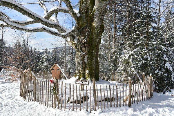 Balzer Herrgott in Furtwangen im Winter Bildnachweis: © Hochschwarzwald Tourismus GmbH Balzer Herrgott in Furtwangen im Winter Bildnachweis: © Hochschwarzwald Tourismus GmbH