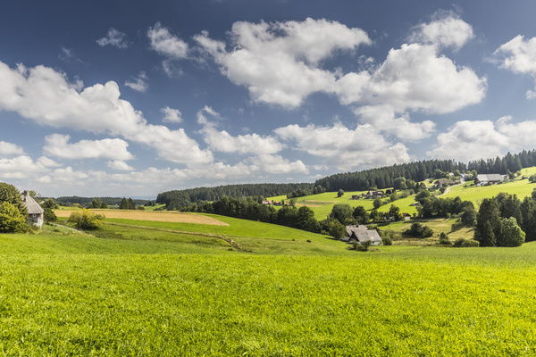 Heimatpfad rund um St. Georgen Bildnachweis: © Hochschwarzwald Tourismus GmbH Heimatpfad rund um St. Georgen Bildnachweis: © Hochschwarzwald Tourismus GmbH