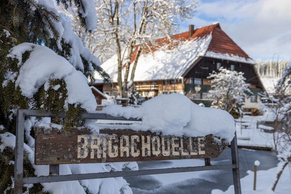 Brigachquelle Bildnachweis: � Hochschwarzwald Tourismus GmbH