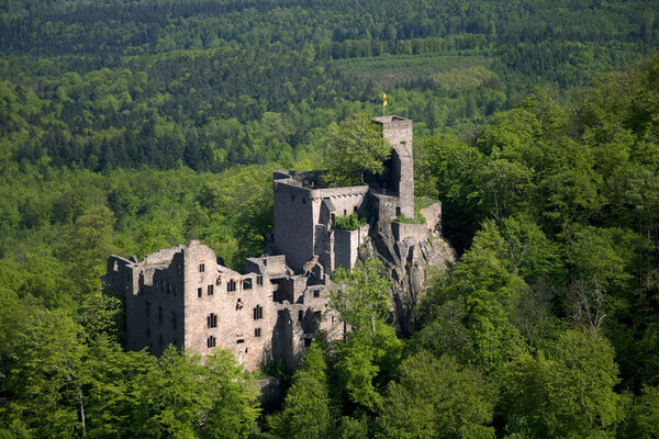 Bildnachweis: Mit freundlicher Genehmigung von Staatliche Schlösser und Gärten Ba.-Wü. Bildnachweis: Mit freundlicher Genehmigung von Staatliche Schlösser und Gärten Ba.-Wü.