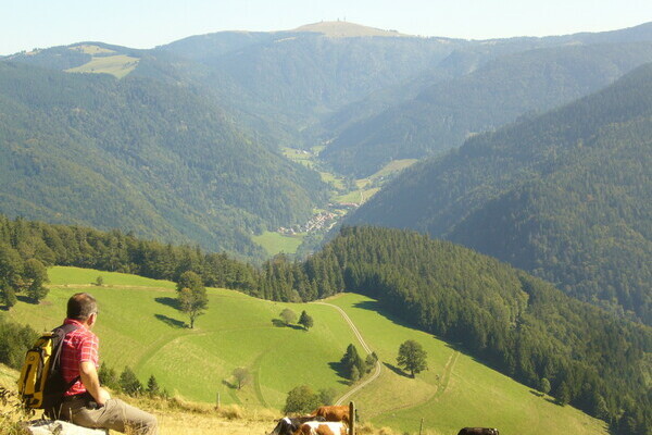 Aussicht auf die Berge des Dresiamtals Bildnachweis: Tourist-Information Dreisamtal Aussicht auf die Berge des Dresiamtals Bildnachweis: Tourist-Information Dreisamtal