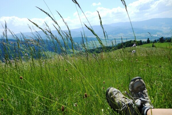 Ausblick Dreisamtal Bildnachweis: Tourist-Information Dreisamtal Ausblick Dreisamtal Bildnachweis: Tourist-Information Dreisamtal