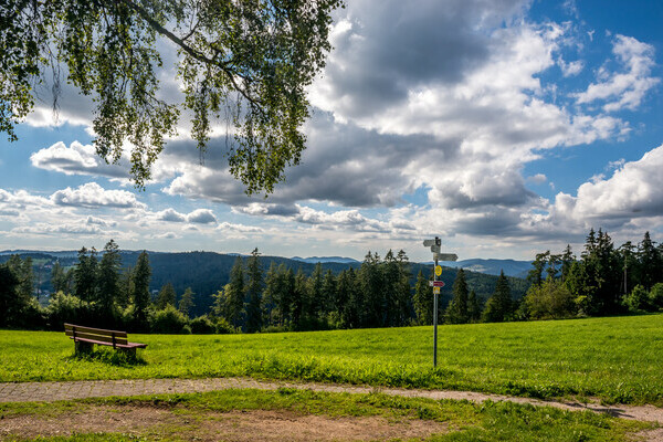 Schinkenweg Aussicht Bildnachweis: � Tourist-Information H�chenschwand, Fotograf Klaus Hansen