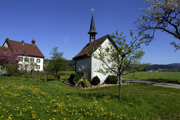 Fr�hling im Breitehof im Attental Bildnachweis: Tourist-Information Dreisamtal