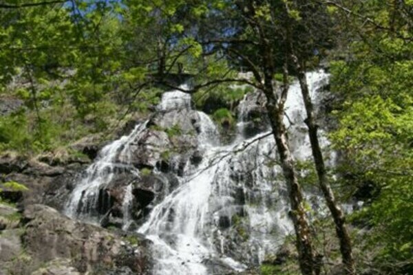 Todtnauer Wasserfall Todtnauer Wasserfall