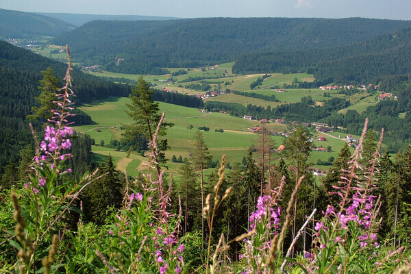 Königswart Murgtalblick Bildnachweis: Mit freundlicher Genehmigung der Gemeinde Seewald Königswart Murgtalblick Bildnachweis: Mit freundlicher Genehmigung der Gemeinde Seewald