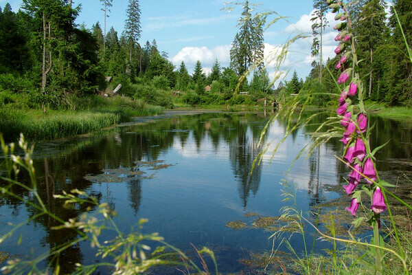 Kaltenbachsee Bildnachweis: Copyright: Mit freundlicher Genehmigung der Gemeinde Seewald Kaltenbachsee Bildnachweis: Copyright: Mit freundlicher Genehmigung der Gemeinde Seewald