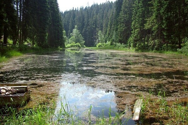 Poppelsee Bildnachweis: Mit freundlicher Genehmigung der Gemeinde Seewald Poppelsee Bildnachweis: Mit freundlicher Genehmigung der Gemeinde Seewald