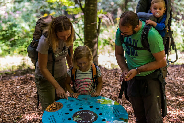 Wolfspfad Bildnachweis: � Tourist-Information H�chenschwand, Fotograf Klaus Hansen