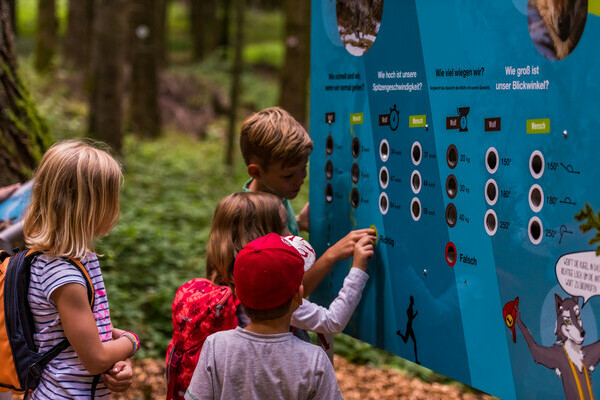Wolfspfad Bildnachweis: � Tourist-Information H�chenschwand, Fotograf Klaus Hansen