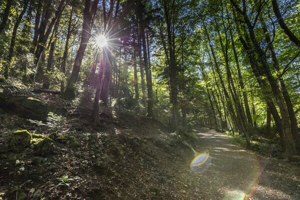 Wandern auf dem Murgtalpfad Bildnachweis: Hotzenwald Tourismus GmbH Wandern auf dem Murgtalpfad Bildnachweis: Hotzenwald Tourismus GmbH