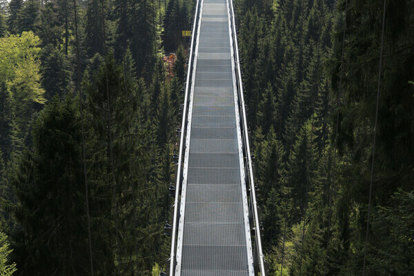 Wildline Hängeseilbrücke Bildnachweis: Hotel Rothfuss Bad Wildbad Wildline Hängeseilbrücke Bildnachweis: Hotel Rothfuss Bad Wildbad