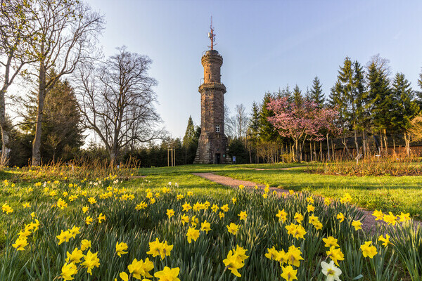 Friedrichsturm Bildnachweis: © Freudenstadt Tourismus Friedrichsturm Bildnachweis: © Freudenstadt Tourismus
