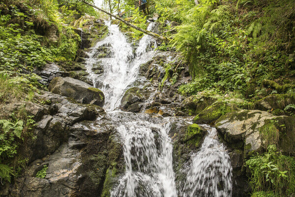 Todtnauer Wasserf�lle Bildnachweis: Hochschwarzwald Tourismus GmbH 