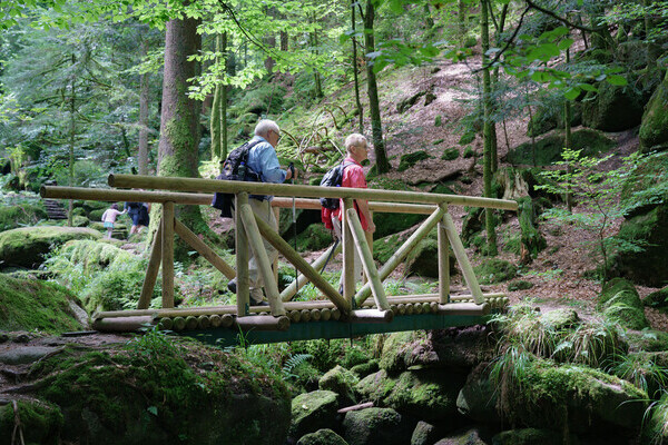 Gertelbach Wasserf�lle Bildnachweis: Mit freundlicher Genehmigung der Tourist-Info B�hl-B�hlertal