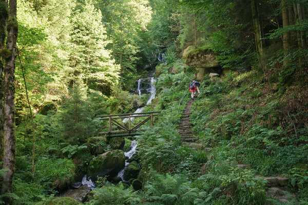 Gertelbach Wasserf�lle Bildnachweis: Mit freundlicher Genehmigung der Tourist-Info B�hl-B�hlertal