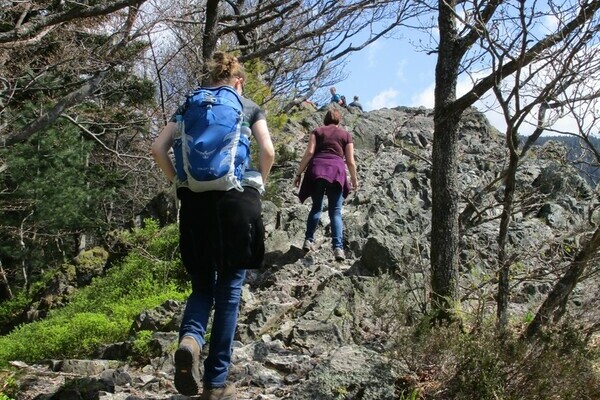 Gratwanderung  Bildnachweis: Tourist-Info Ottenh�fen