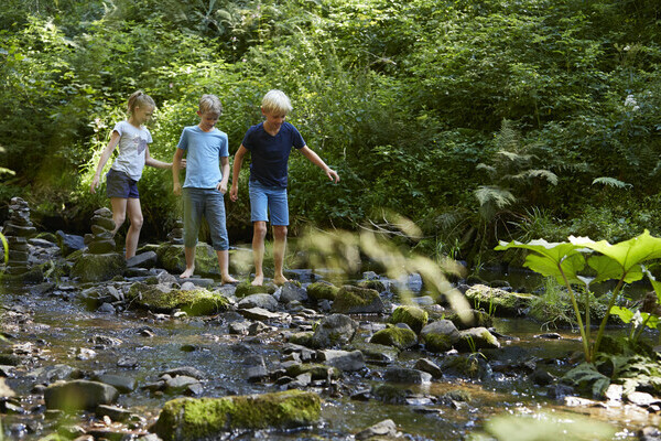 Spielen im Bachlauf Bildnachweis: Hochschwarzwald Tourismus GmbH/ Christoph D�pper