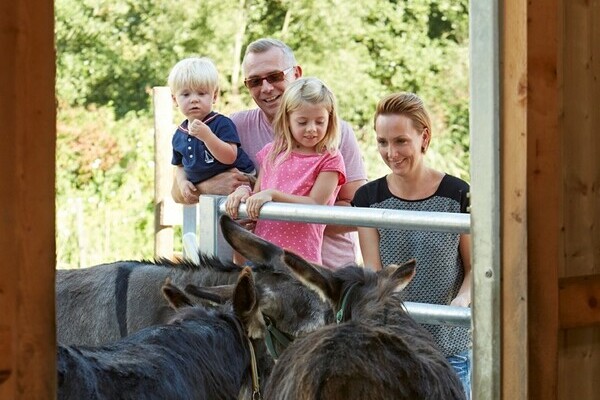 Bildnachweis: Schramberg Tourismus Bildnachweis: Schramberg Tourismus