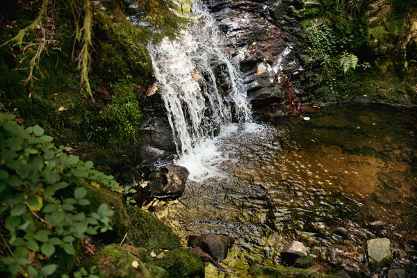  Becken des Wasserfalls in der Windbergschlucht bei St. Blasien Bildnachweis: � Hochschwarzwald Tourismus GmbH